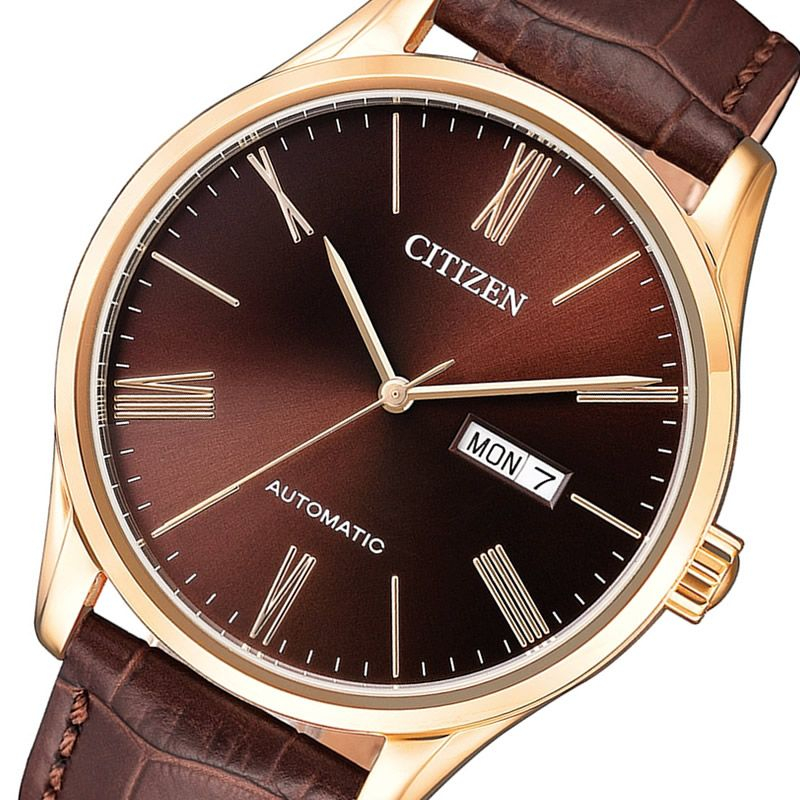 Citizen Automatic Men's Red burgundy Dial Goldfilled nh8363-14x