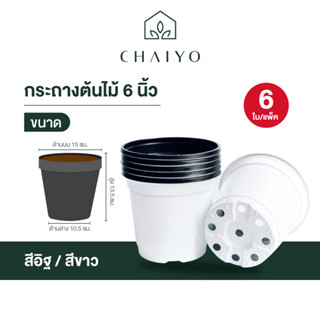 กระถางต้นไม้ 6 นิ้ว 6 ใบ POT 150 mm(6 inches) 6 pcs