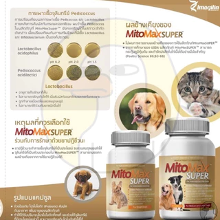 Mitomax Super Small Medium 🔥Exp.2028 Probiotic Prebiotic โปรไบโอติก อาหารเสริม ช่วยย่อย สุนัข แมว (1 กระปุก 30 แคปซูล)