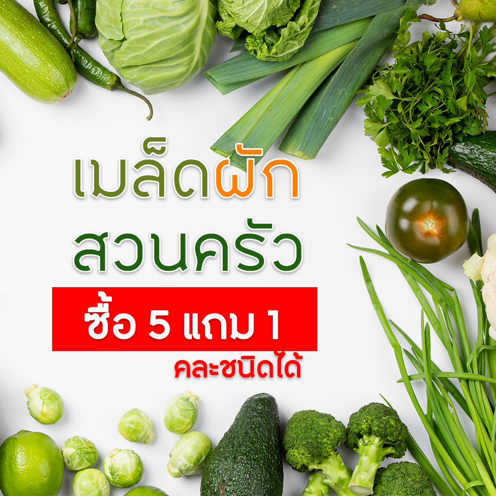 เมล็ดผักสวนครัว🌱 ซื้อ 5 แถม 1✨ เมล็ดใหม่ เก็บได้นาน  (คละชนิดได้)