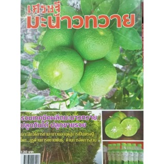 หนังสือคู่มิอเศรษฐีมะนาวทวาย