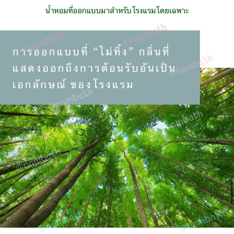 ญี่ปุ่น/แท้  (270ml) สเปร์ยกำจัดกลิ่น คุณภาพระดับโรงแรม อ่อนโยน จากธรรมชาติ Air Forest   กำจัดเชื้อแบคทีเรีย ราคา ถูกที่สุด ดีลบีเคเค แกลเลอรีภาพที่ 8