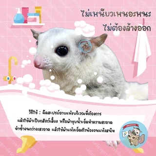 V ( สเปรย์อาบแห้งกลิ่นมะพร้าว ) SABIENGSUGAR สเปรย์อาบน้ำแห้ง สัตว์เล็ก สัตว์เลี้ยง ชูการ์ กระรอก ดอร์เมาส์ แฮมสเตอร์