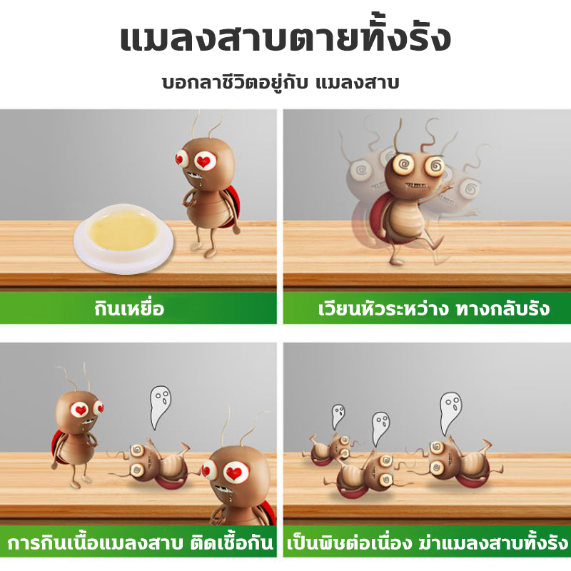 แมลงสาบล่อเพื่อทำลายแมลงสาบ , ยากำจัดแมลงสาบ，ปลอดภัยสำหรับคนและสัตว์เลี้ยง , ปลอดสารพิษ , ฆ่าทั้งรัง - รูปที่ 3