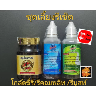 ชุดเลี้ยงอาหารเสริมรีเซ็ต สำหรับเลี้ยงออกชน