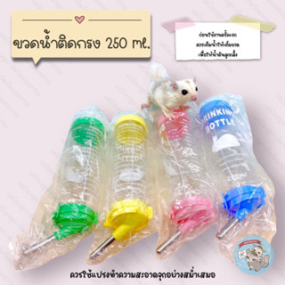 V ( 250 ML. ขวดน้ำติดกรงใหญ่ ) ขวดน้ำติดกรง ขวดน้ำชูการ์ ขวดน้ำกระรอก ขวดน้ำแฮมสเตอร์ ขวดน้ำนก ขวดน้ำกระต่าย