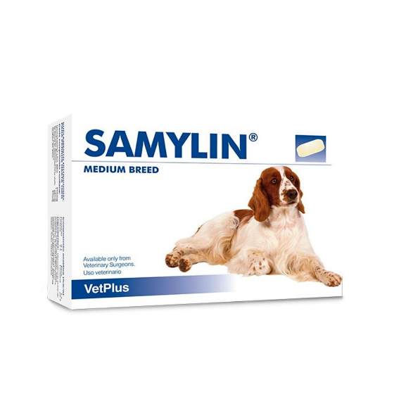 (ถูกที่สุด)!! แบ่งขาย Samylin Medium breed 🔥ของแท้ฉลากไทย อาหารเสริม บำรุงตับ สุนัขขนาดกลาง