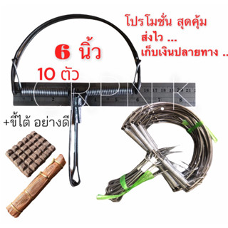 💥ขายดีที่สุด💥 6” นิ้ว กับดักหนูโค้ง 10 ตัว