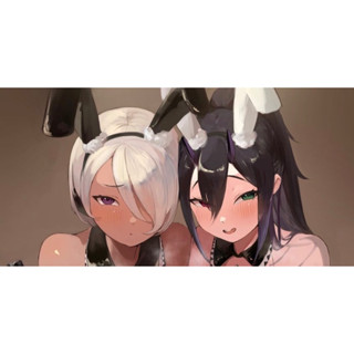 2 Anime Manga Bunny Girls Cosplay Art High Quality Collectible Printed Photo Card