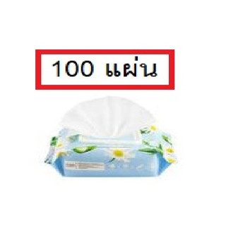 Baby Bright Aloe Moist Wet Tissue 100 Sheets เบบี้ไบร์ท อโลเวร่า มอยส์ เว็ท ทิชชูเปียก 100แผ่น