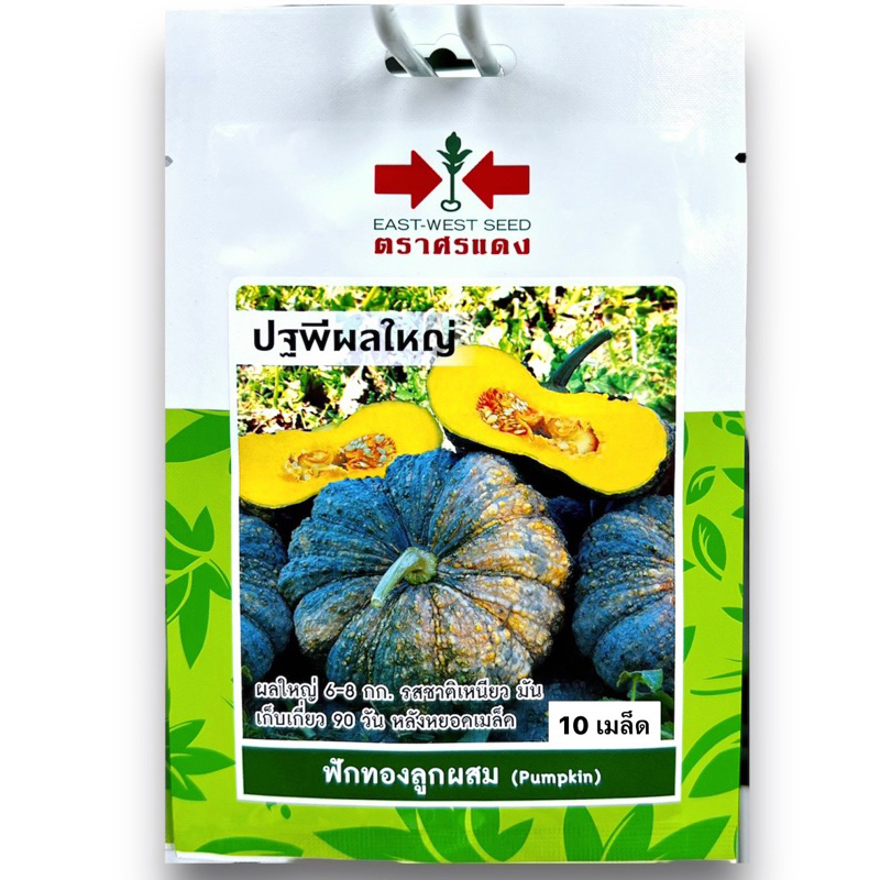 ศรแดง ฟักทอง (pumpkin) ปฐพีผลใหญ่ 10 เมล็ด