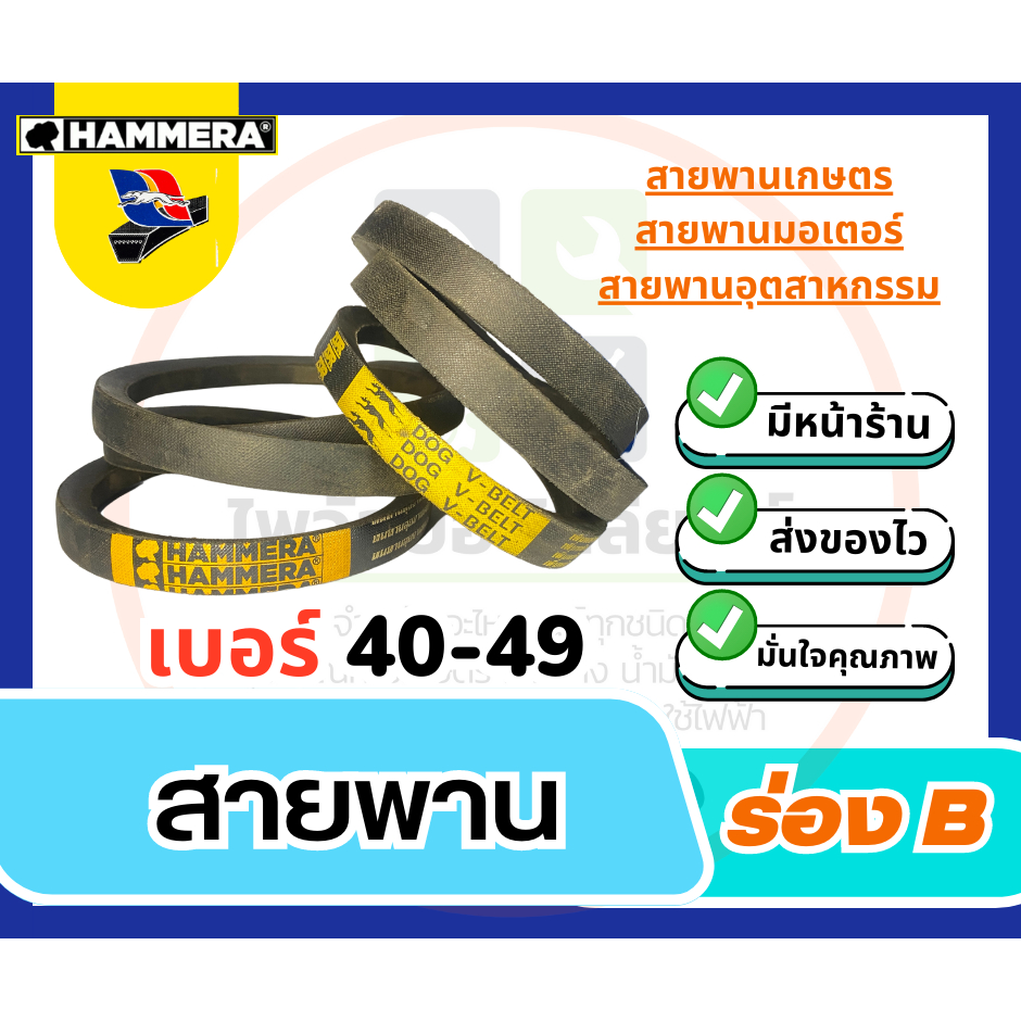 สายพานร่อง B ตราหมา DOG / HAMMERA เบอร์ B40,B41,B42,B43,B44,B45,B46,B47,B48,B49 / ราคาต่อ 1 เส้น