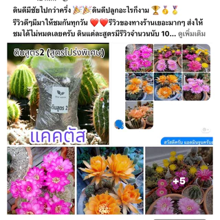 ส่งฟรี‼️ดินสูตร2 สูตรโปร่งพิเศษ สำหรับ แคคตัส ไม้ด่าง ไม้ฟอกอากาศ ไม้อวบน้ำ ไม้มงคลต่างๆ ดินปลูก