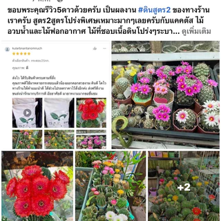 ส่งฟรี‼️ดินสูตร2 สูตรโปร่งพิเศษ สำหรับ แคคตัส ไม้ด่าง ไม้ฟอกอากาศ ไม้อวบน้ำ ไม้มงคลต่างๆ ดินปลูก