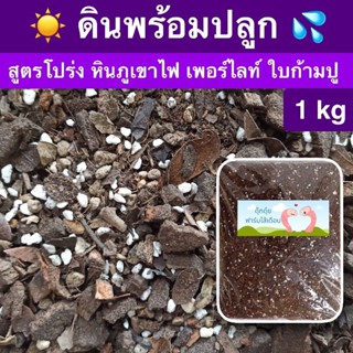 ดินพร้อมปลูก🌱 ไม้ใบ ไม้มงคล ไม้ฟอกอากาศ เฟิร์น รองเท้านารี 1 kg🌿