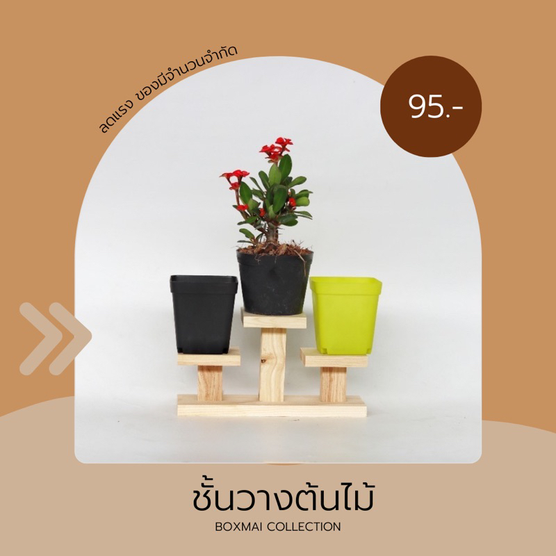 ถูก ส่งเร็วทันใจ ชั้นวางต้นไม้แคคตัส หรือสิ่งของขนาดเล็ก ชั้นไม้ลีลา