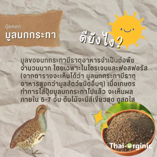 ขี้นกกระทา(1 กก.) ปุ๋ยมูลนกกระทา บำรุงใบ ไนโตรเจนสูง มูลนกกระทา ขี้นกกระทาล้วน ขี้นกแท้ 100%