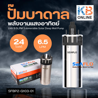 SEAFLO ปั๊มสูบน้ำ ปั๊มบาดาล 24V 6.5LPM SFBP2-G103-01 SOLAR SUBMERSIBLE PUMP DEPTH30M LIFT70M SEAFLO