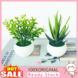 [B_398] Simulation Potted Plant Artificial Plastic Display Mold for Home Decor
