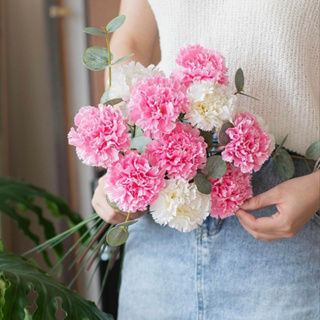 O•urHome [พร้อมส่ง] ดอกคาร์เนชั่น Artificial carnation ดอกไม้ปลอมงานแต่งงานและของตกแต่งบ้าน โรงแรม อุปกรณ์ประกอบฉากภาพ