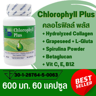 คลอโรฟิลล์ พลัส Chlorophyll Plus ตรา บลูเบิร์ด 600 มิลลิกรัม 60 แคปซูล