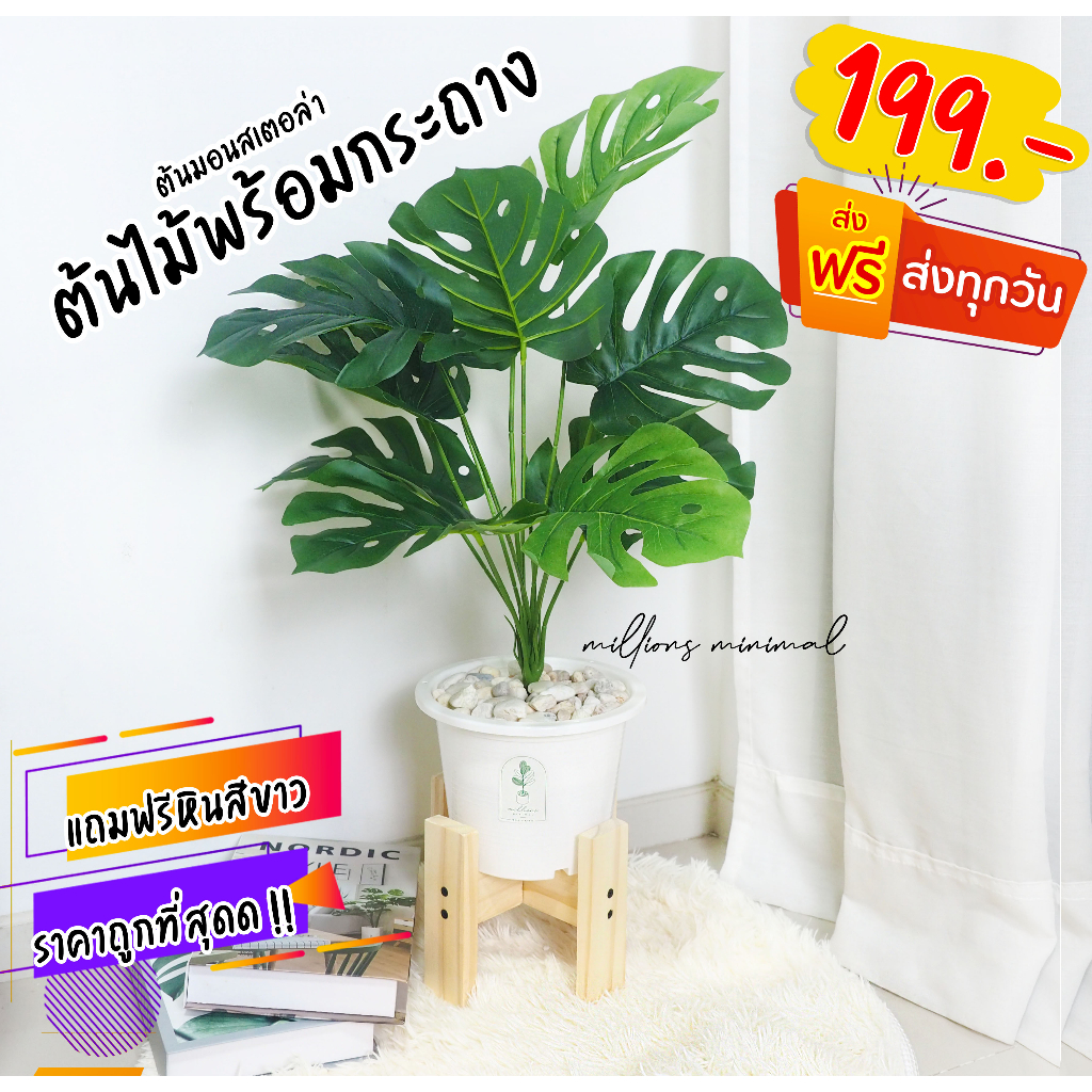 ราคาถูกที่สุด ต้นไม้ปลอม ต้นไทรใบสัก ต้นมอนสเตอล่า พร้อมกระถางแถมฟรีหิน