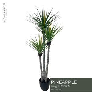 Pineapple Tree 150 Cm ต้นสัปปะรด 150 ซม.