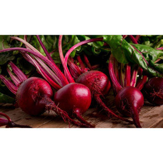 เมล็ดพันธุ์ บีทรูท (Beetroot)  ซองละ 29 บาท   ผักเพื่อสุขภาพ สีสวย