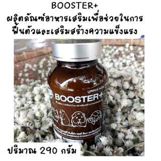 บูสเตอร์พลัส Master Premium Booster เสริมสร้างความแข็งแรง แกสบี้และสัตว์ฟันแทะ