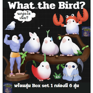 [Box set] กล่องสุ่ม What the Bird!!? นกอะไรเนี้ยะะะะ ฟิกเกอร์/โมเดล นกมีกล้ามปู🐦💪🏻