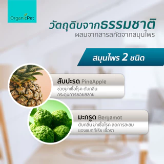 BioX น้ำยาทำความสะอาด อเนกประสงค์ ดับกลิ่น ฉี่ อึ ล้างพื้น ล้างกรงสัตว์ ซักผ้า ซักที่นอน 750ml