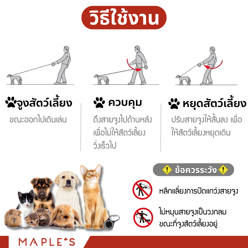 MAPLE'S สายจูงสุนัขยาว3เมตร ที่รัดอก สายจูงสปริงยืดหดได้ สุนัขใหญ่ เเมว Cat leash เชือกจูง จูงเเมว รูปที่ 3