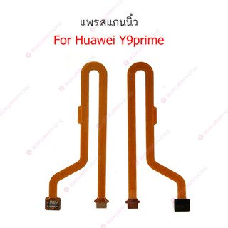 สแกนนิ้ว huawei Y9 prime แพรต่อสแกนนิ้ว huawei Y9 prime สายแพรสแกนนิ้ว Y9 prime