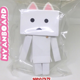 nyanboard Cat in Danboard *พร้อมส่ง*