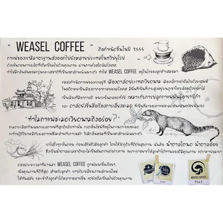 Weasel Coffee เมล็ดกาแฟขี้ชะมดแท้ 100% Kopi Luwak พรีเมียม กลิ่นหอมเอกลักษณ์ ขนาด 250g / 500g มีทั้งแบบเมล็ดและแบบบด
