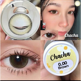 💋 สุดปัง มีค่าสายตา 💋 Lovelylens ChaCha Gray Brown บิ๊กอาย สุดปัง คอนแทคเลนส์ รายเดือน มีอย แถมตลับฟรี เลนส์นิ่ม สวยปังม