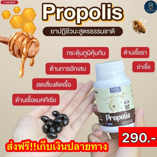 ✨ส่งฟรี✨3แถม1 NBL Propolist (โพรโพลิส) เข้มข้นสูง 300mg. แก้ภูมิแพ้ หอบหืด ไซนัส สร้างภูมิคุ้มกัน แก้สิว ลดอักเสบ