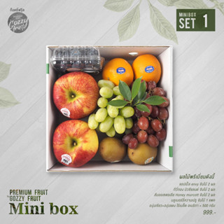 Premium fruit Mini box set 1