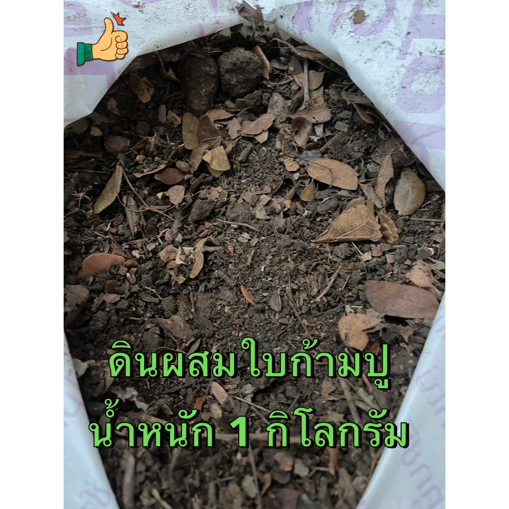 พร้อมส่ง ดินผสมใบก้ามปู 1 kg ดินก้ามปู ดินปรุงสำเร็จ