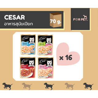 CESAR ซีซาร์ อาหารสุนัขเปียก แบบซอง ยกโหล 1X16 ซอง