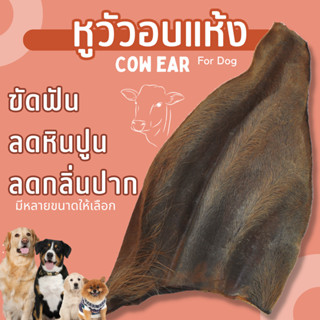 พรีเมี่ยม !! หูวัวอบแห้ง (มีขน) จำนวน 1 ชิ้น Auhu by YCrazy