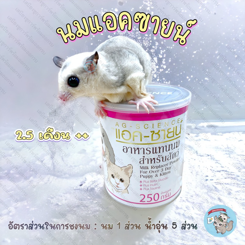 ( นมแอคซายน์ 250กรัม ) AG-SCIENCE แอคซายน์ นมทดแทน นมแพะ นมแพะผง นมชูการ์ สัตว์เลี้ยง สัตว์เล็ก