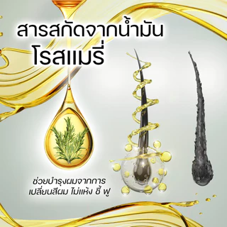 แชมพูเปลี่ยนสีผม แชมพูปิดผมขาว Clear White แบรนด์ DKUB สีดำ สีน้ำตาล - 1730 -1731