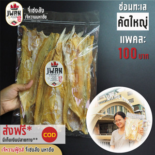 ปลาช่อนทะเลคัดใหญ่ ไล้กอคัดใหญ่ ปลาจิ๊กโก๋ ปลาช่อนเค็ม แพ็คละ 100 บาท ขนาด 250 กรัม