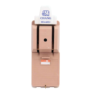 PJR **มีขายส่ง**คัทเอาท์ ช้าง 2P 30A , 60A , 100A Chang แถมฟิวส์ในตัว สะพานไฟ คัทเอ้า คัตเอ้า ตราช้าง Cut - Out