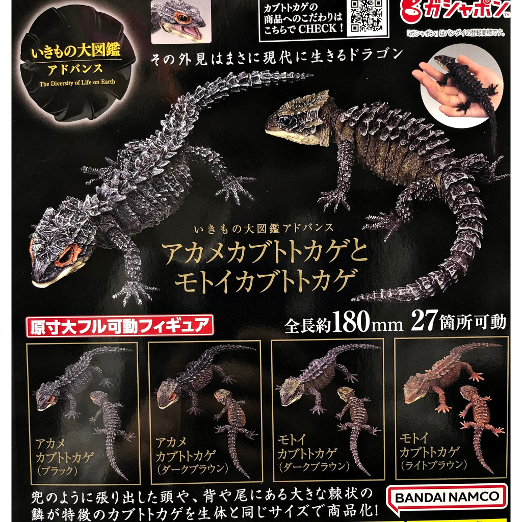 (เพิ่มครบชุดพร้อมส่ง) กาชาปองจิ้งเหลนจระเข้ Gachapon Bandai Premium Red-eyed&White-eyed Crocodile Sk