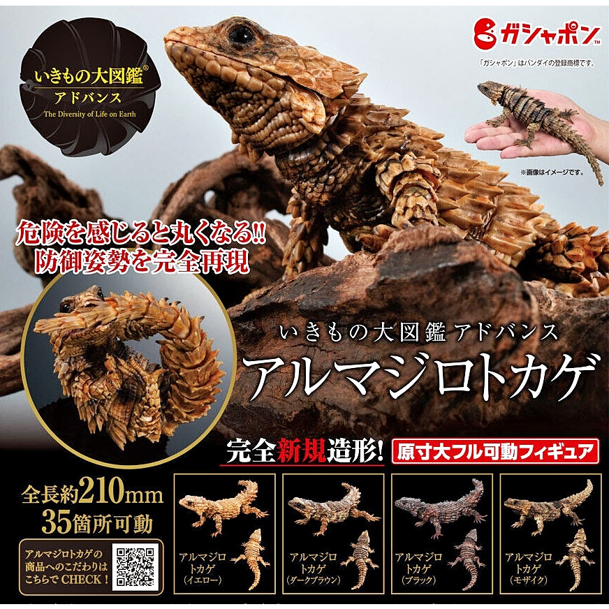 (มีของพร้อมส่ง) กาชาปองกิ้งก่ามังกร Gashapon Bandai Premium Armadillo Lizard โมเดลสัตว์