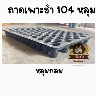 🌱ถาดเพาะกล้า ถาดเพาะชำ ถาดเพาะเมล็ด 104 หลุม