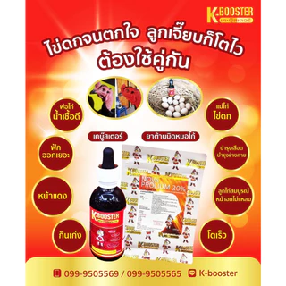 K Booster เคบู้สเตอร์ ชุดเลี้ยงยอดนิยม เค บูทเตอร์ เค-บู๊สเตอร์ K-BOOSTER KBooster