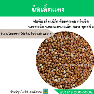 มิลเล็ตแดง (แบ่งขาย 200-500G.) สำหรับหงษ์หยก กระจอกชวา นกเขาเล็ก เขาชวา